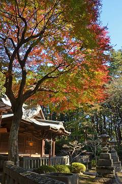 堀内天満天神社の山紅葉