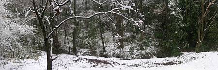 雪景色のトトロの森11号地