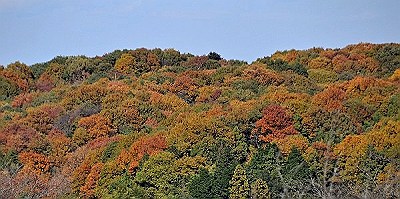 丘陵の秋