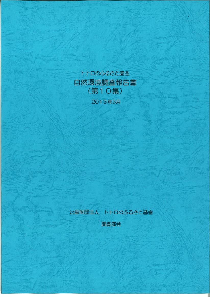 調査報告書の写真