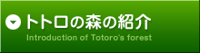 トトロの森の紹介