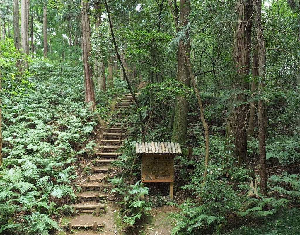 瑞穂町で初めてのトトロの森誕生！