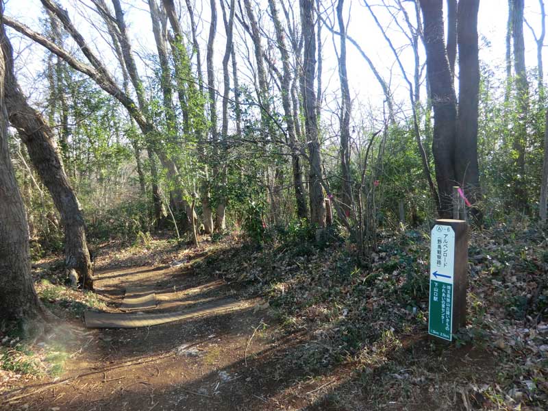 瑞穂町で初めてのトトロの森誕生！