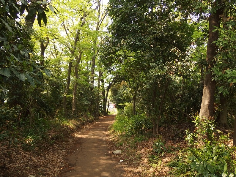 瑞穂町で初めてのトトロの森誕生！