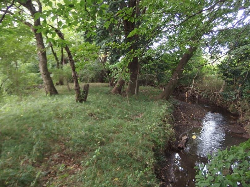 瑞穂町で初めてのトトロの森誕生！