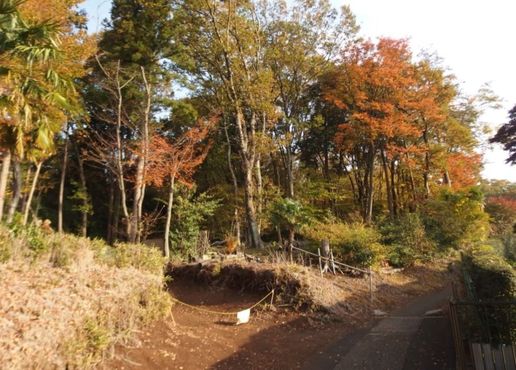 瑞穂町で初めてのトトロの森誕生！