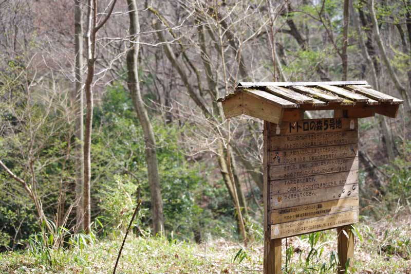 トトロの森5号地