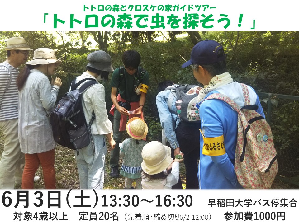 2023年6月3日（土）トトロの森とクロスケの家ガイドツアー「トトロの森で虫を探そう！」開催します！（先着順・締め切り6/2 12:00）