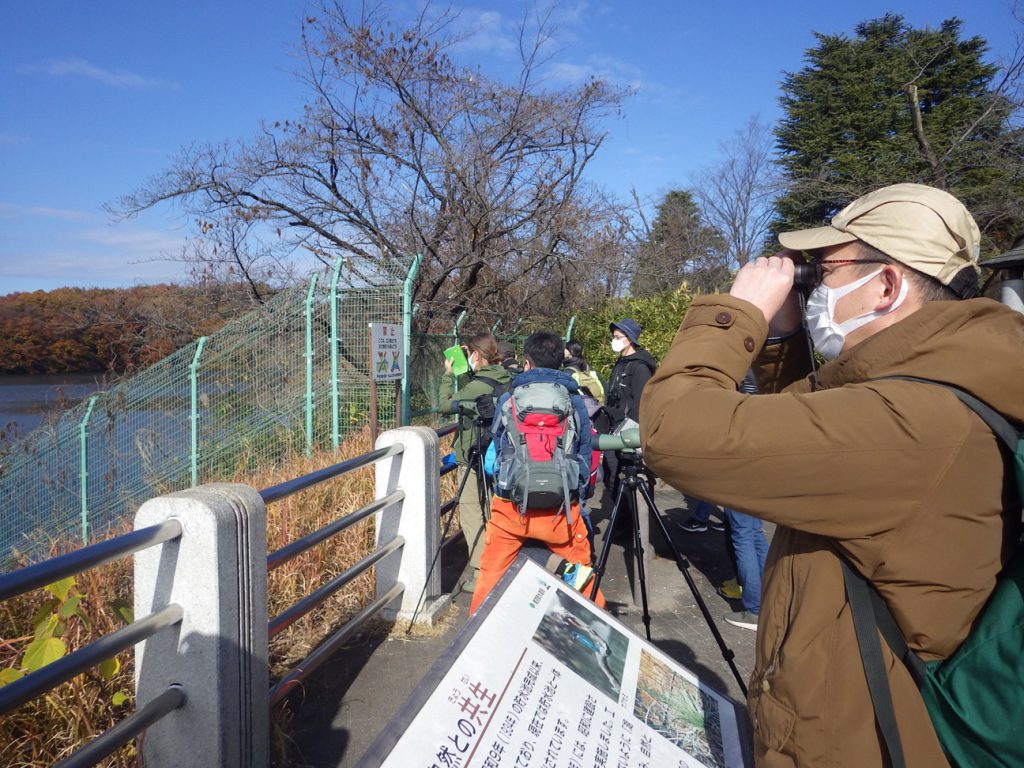 2023年12月2日（土）トトロの森とクロスケの家ガイドツアー「トトロの森へ～冬の使者を探して～」（先着順・締め切り12/1 12:00）