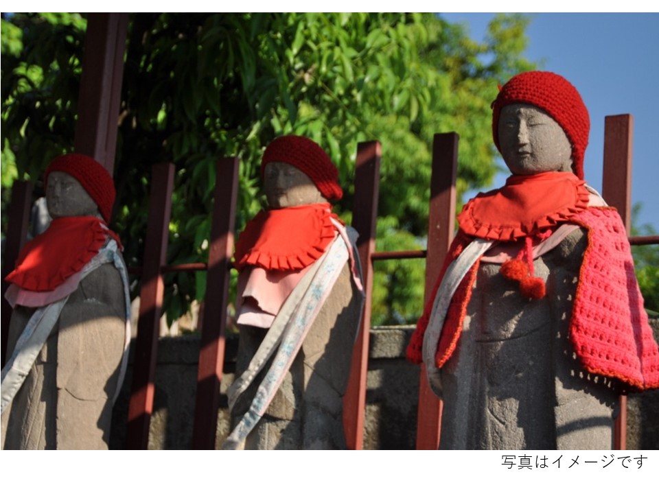 2024年3月2日（土）トトロの森ガイドツアー「鎌倉街道とトトロの森を歩く～村山・将軍塚編～」（先着順・締め切り3/1 12:00）