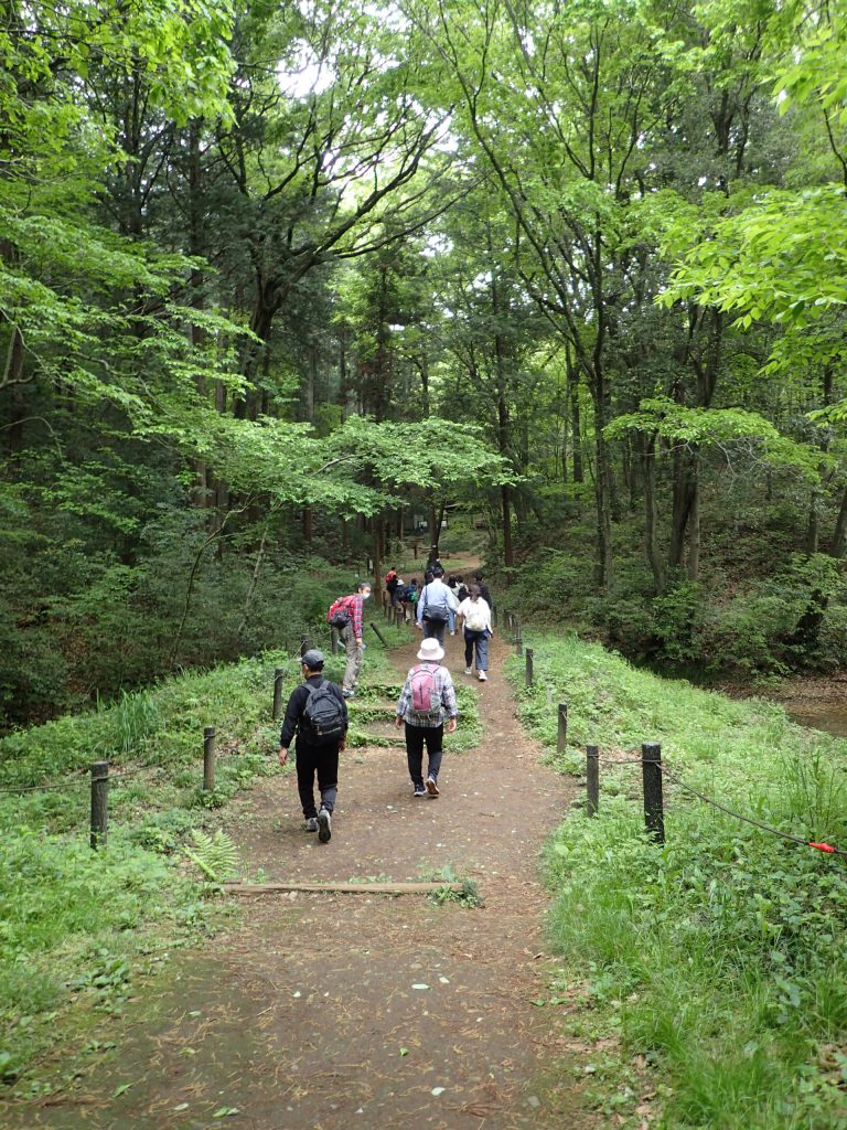 2024年5月12日（日）トトロの森とクロスケの家ガイドツアー ～晩春の森を歩く　始まりの森からクロスケの家まで～（先着順・締め切り5/11 13:00）