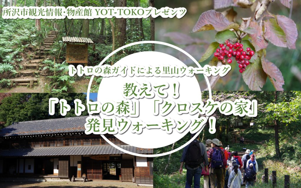 2024年11月17日（日）トトロの森里山ウォーキング By YOTTOKOに協力します