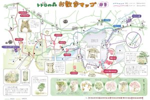 トトロの森 – トトロのふるさと基金