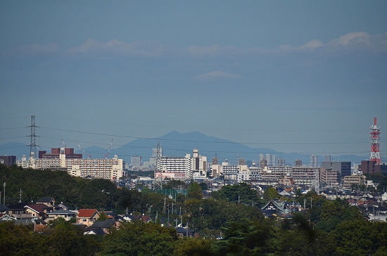 所沢市上山口 西武ドーム周辺から