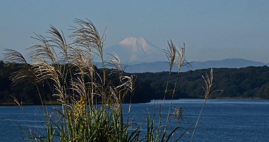 狭山湖から