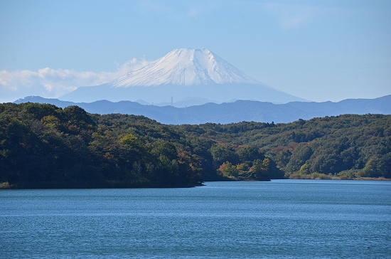 トトロの森の四季 公益財団法人 トトロのふるさと基金