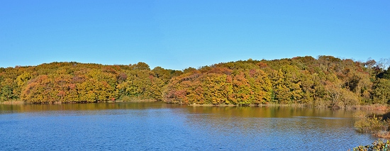 狭山湖から