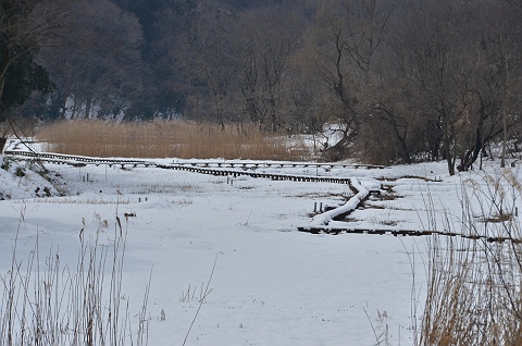 雪化粧