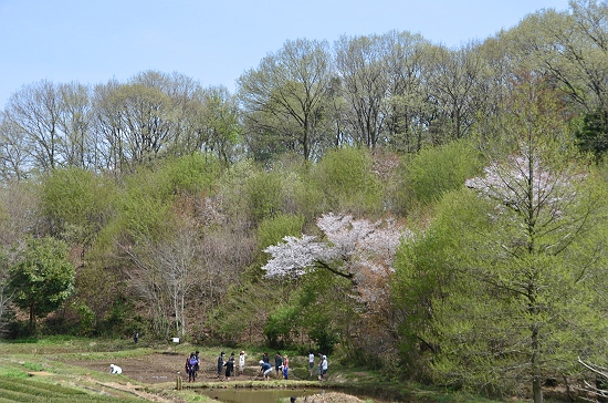 西久保湿地にて