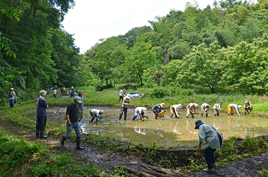 北野の谷戸にて