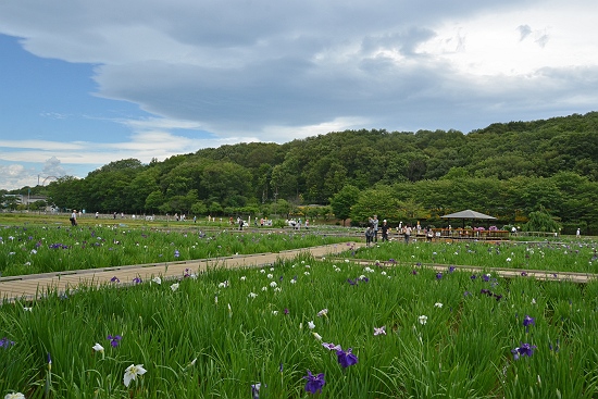 東村山市 北山公園にて