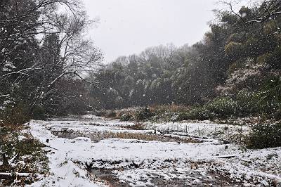 雪の降る北野の谷戸