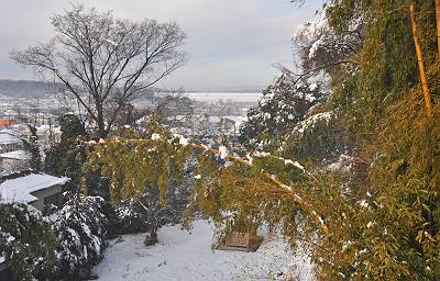 雪の狭山湖堤防の眺望