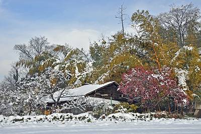 雪の里山の光景