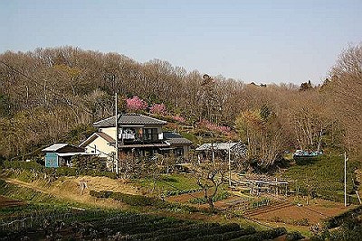 里山の風景