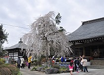 里の人々も集り花祭りに