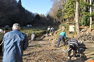 粗朶:小枝は焚付けように